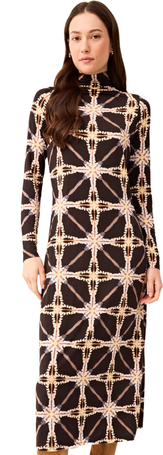 Paxton Maxi Dress in Polaris