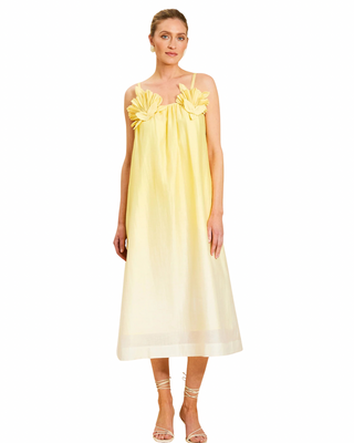 Solenn Midi Dress