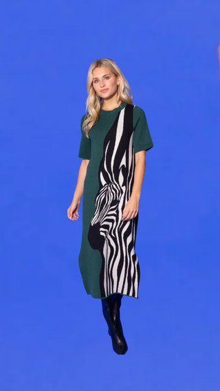 Alden Adair Scout Dress, Wild Silhouette