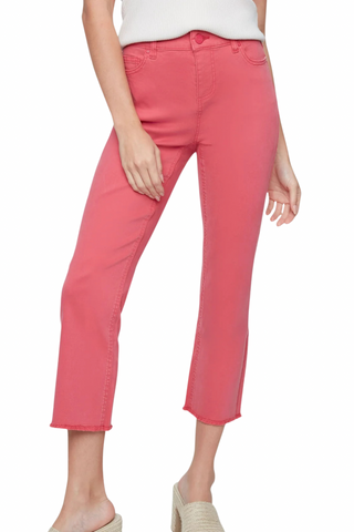 Renuar Woven Pant in Terracotta